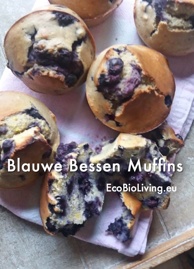 Muffins met blauwe bessen - glutenvrij recept