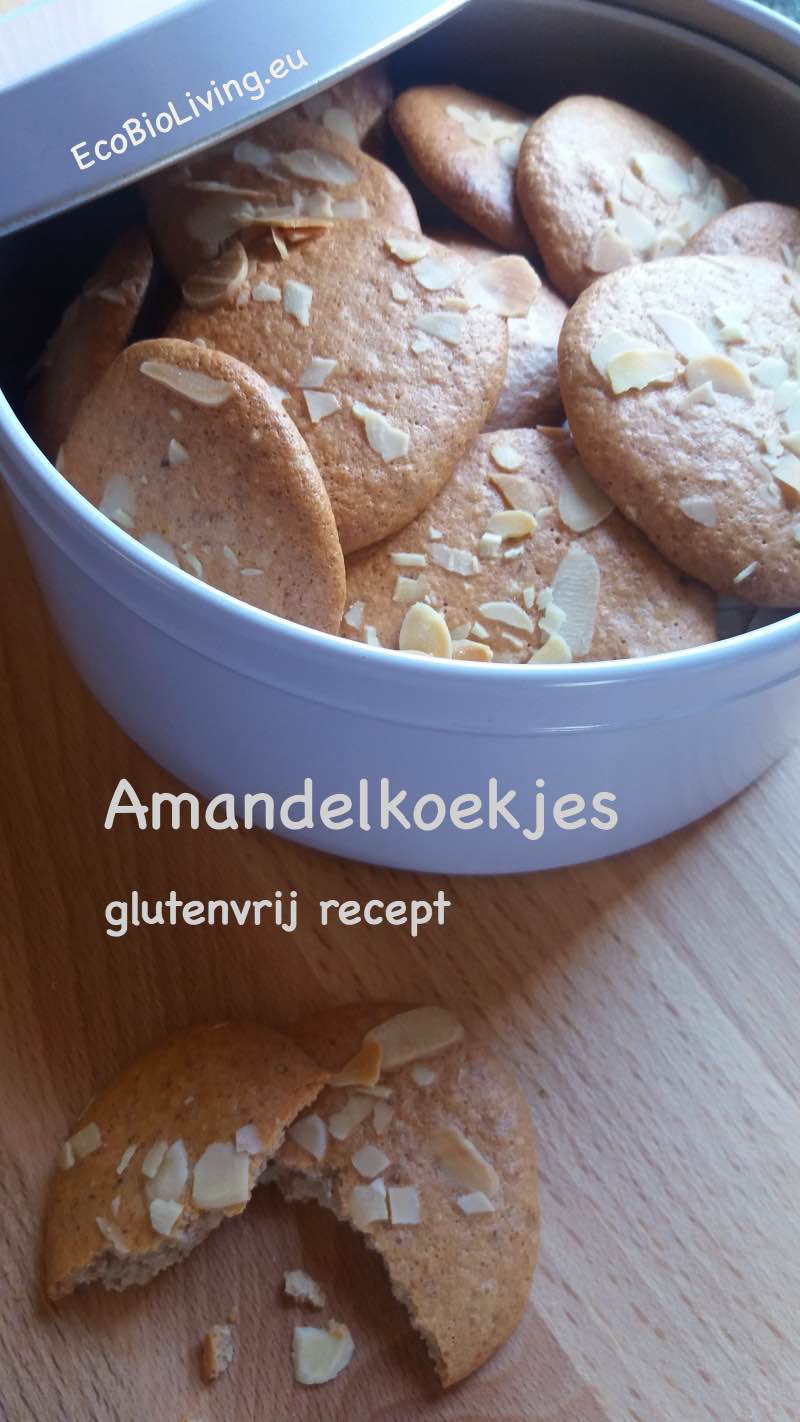 Amandelkoekjes maken - glutenvrij recept