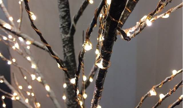 Eco kerstboom alternatief - takken met lampjes