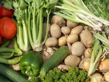 Verse bio groenten uit de zelfoogsttuin van Hasselt - op houten tuintafel