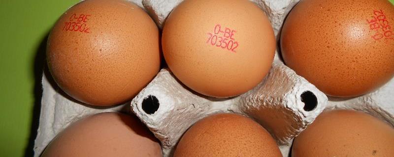 Stempelcode op eieren - betekenis van bio eieren, vrije uitloop, scharreleieren, ...