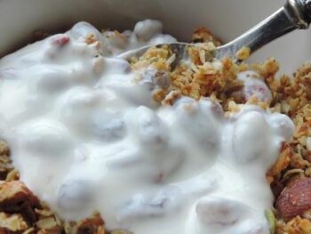 Krokante Muesli met Kefir of Yoghurt - glutenvrij ontbijt zelf maken ~ EcoBioLiving