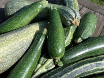 courgettes bewaren