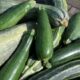 courgettes bewaren