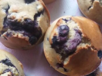 Muffins met Blauwe Bessen - glutenvrij muffin recept