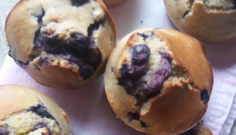 Muffins met Blauwe Bessen - glutenvrij muffin recept