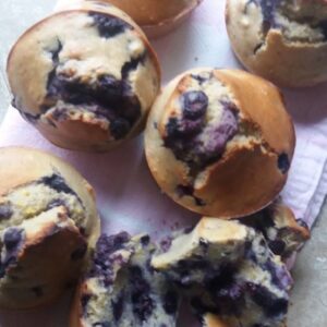 Muffins met Blauwe Bessen - glutenvrij muffin recept zonder zuivel