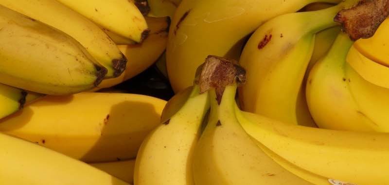 Enkele trossen bananen