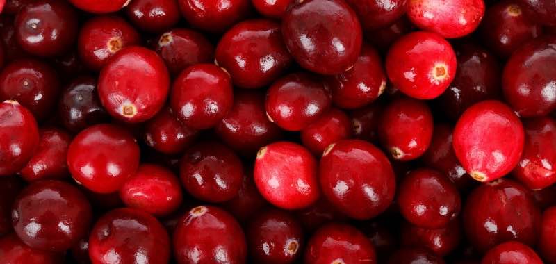 Veenbessen - Cranberries