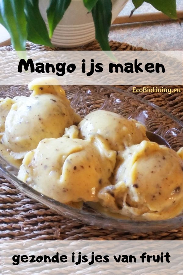 Mango ijsje met chocoladestukjes erin - in glazen kommetje op zeegras placemat - ijs maken van fruit zonder ijsmachine - foto om te bewaren op Pinterest